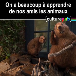 #actu #madeinfrance On a plus de point commun avec les castors qu'on ne le croit. 😉🦫 Nouvelle campagne Castorama signée Publicis Conseil. | Culture Pub