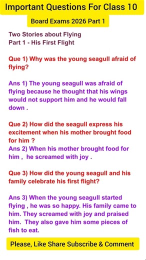 His First Flight | Important Questions & Answers | Two Stories About Flying Class 10 Part 1