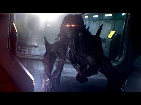 COŚ TU ŁAZI, po tym statku kosmicznym...