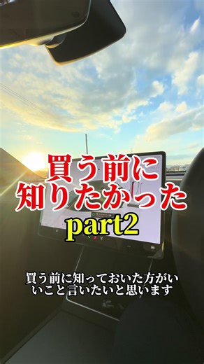 テスラモデルYの色選びと暑さ対策
