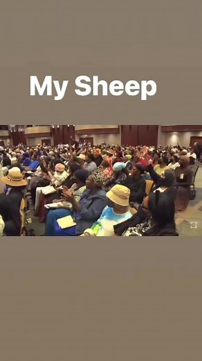 Irvin Bostick on Reels