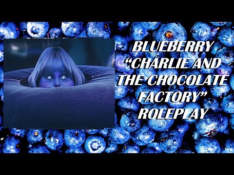 ASMR Blueberry "Charlie and the Chocolate Factory" Roleplay [REQUESTED]