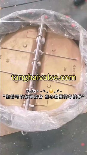 Bronze Butterfly Check Valve