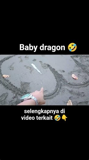 baby dragon, di pinggir pantai 🤣 #comedy