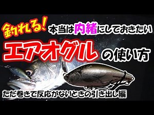 [Catch Sea Bass!] I really want to keep this a secret ♥ How to use the Air Ogle