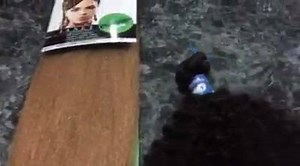 18K views · 38 reactions | REAL vs FAKE In the ULTIMATE burn test. Weave Got It, the best hair the best prices GUARANTEED!!!!!! 985-445-1400 www.bluemagichair.com | Weave Got It | Facebook