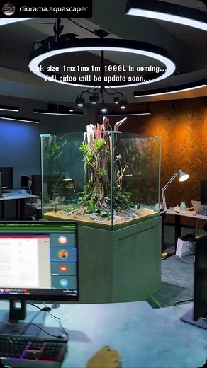 6.3K views · 2.6K reactions | Pure Nature  Powered by @diorama.aquascaper I just finished setting up a large aquascape tank that can be viewed from all four sides. Stay tuned for the full video! #aquarium #aquascape #aquascapes #aquascaper #freshwater #plantedtank #natureaquarium #pzes #pzesaquascapingteam #madrid | Pzes.es | Facebook