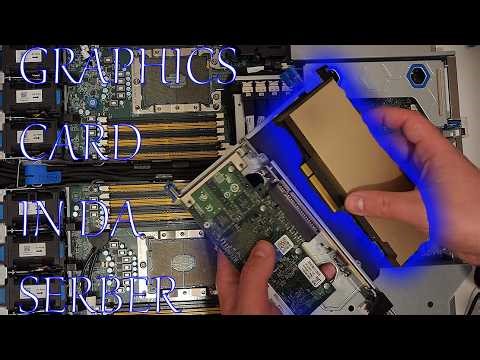 Adding a GPU to my new Server for some reason