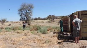 12K views · 129 reactions | Next time you visit the Gross Barmen Resort, be on the look out. | Namibia Wildlife Resorts | Facebook