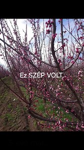 Bács-Zöldért Zrt. on Reels