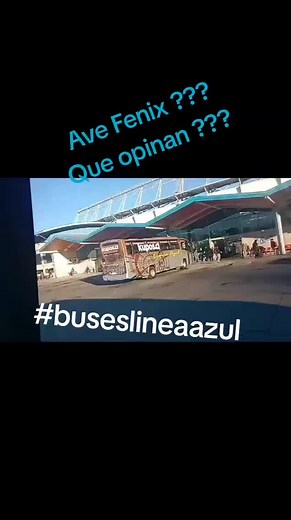 Buses Línea Azul en Chillán: Todo lo Que Debes Saber