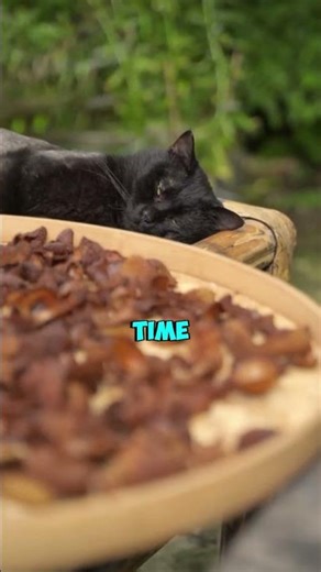 She Turned Lychee Skin Into Incense