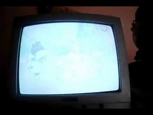 Intro Baby Looney Tunes