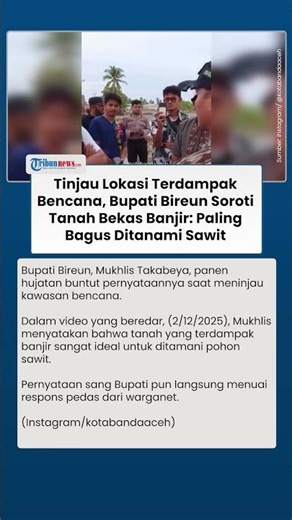 Heboh! Pernyataan Bupati Bireun soal Tanah Bekas Banjir Disorot: Paling Bagus Ditanami Sawit