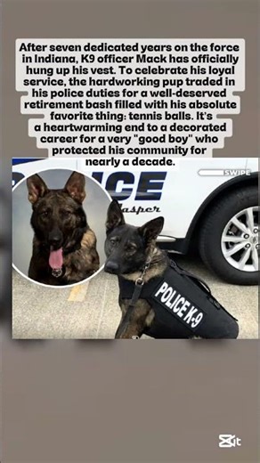 7 Years of Service, 1 Final Reward: This K9’s Retirement is Everything! 🎾