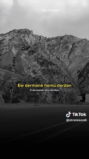🎙️ Erê Dilo Yeman Yeman 🎶