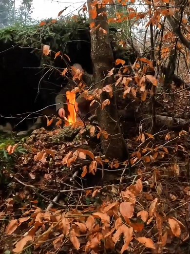 Tree root survival shelter #bushcraft #nature #fyp