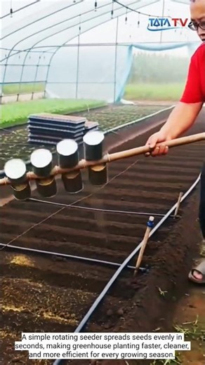 The Fastest Way to Plant Seeds!shorts #farming #seeding #greenhouse #agriculture #