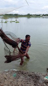 228K views · 516 reactions | Amazing Fishing Video | Fishing & Village Tradition | Facebook