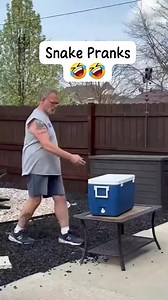 135K views · 2.7K reactions | Snake prank藍藍#fbreels #fyp #usa #funny #foryou #scary #prank | Mr Studio | Facebook