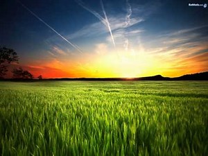 Alex Morph - Sunshine (Nitrous Oxide Mix)