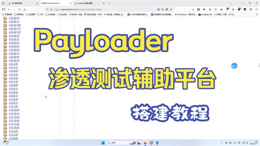 Payloader-渗透测试辅助平台搭建教程
