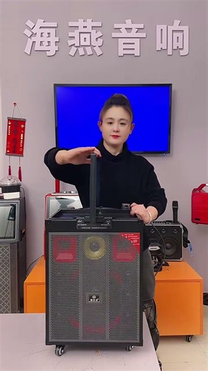 You Won't Believe This Portable DJ Sound System | Bass Test + Live Demo