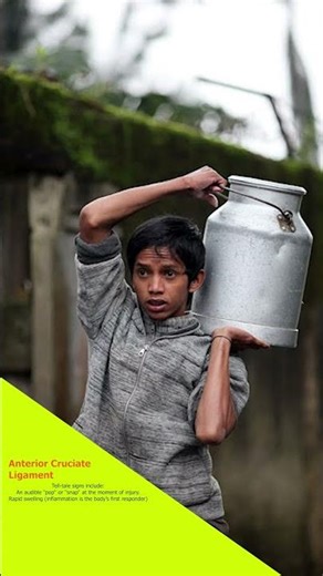 Ligament Tear: Understanding Sprains and Structural Instability #ssherbalindia #ayurveda