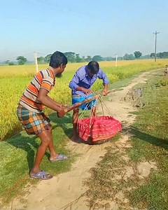 8K views · 53 reactions | 樂 | Best Of Magic | Facebook