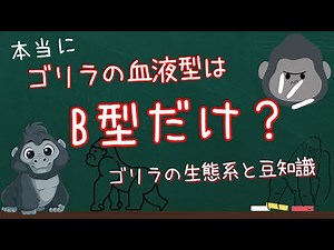 【動物紹介】ゴリラの生態系と豆知識