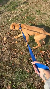 Jennifer Wooten on Reels