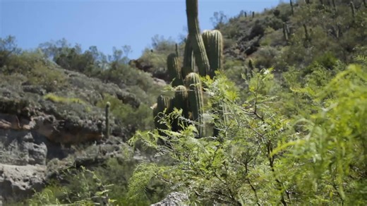 In the 2024 cycle of the #IndigenousCommunityMedia fund, funding was granted to the Indigenous Audiovisual Production Company Raíces Ancestrales (Argentina), which, through communication rooted in identity, seeks to decolonize audiovisual media and to make visible new voices—those of Indigenous women, youth, children, and elders. Their project, “Song of Mother Earth,” highlights the importance of the recovery and revitalization of Indigenous languages and raising awareness about them, using four