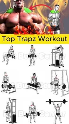 Effective Trapz Exercises for Back and Shoulders
