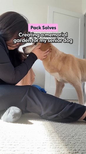 Creating a Memory Garden The Pack | Gracyla