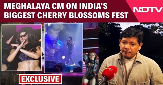 Sangma Cherry Blossoms Paint Shillong Pink,Festival Draws Global Visitors