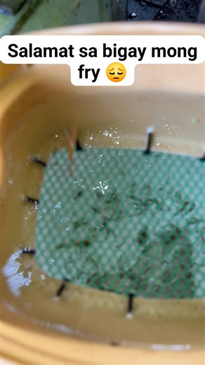 1.7K views · 13 reactions | Downside ng live bearers  | Camilo James Comiling | Facebook