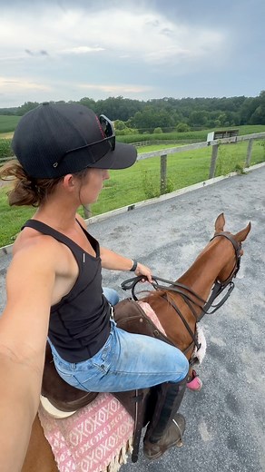 24K views · 1K reactions | I’m tired #exercisinghorses #polostring | Marissa Wells | Facebook
