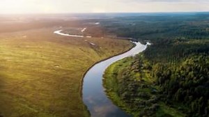 Removing a woman’s uterus isn’t the only treatment for fibroids and their symptoms. The Acessa® procedure enables you to care for more patients by offering a more uterine-sparing option. Learn how Hologic is advancing fibroid treatment: https://bit.ly/3RmjFtC #Hologic #WomensHealth #Healthcare | Hologic