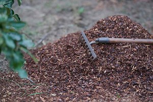 Grumpy’s Low-Maintenance Mulch Tip