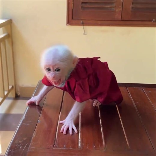 Really Sorry Babi: Heartwarming Moment of a Child