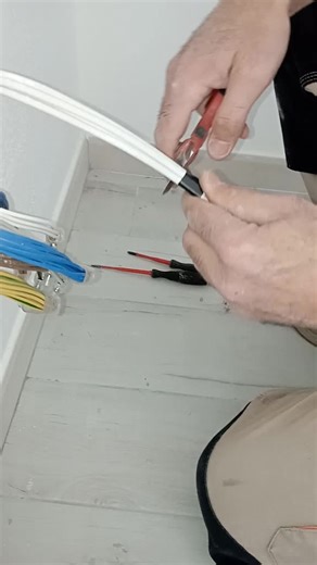 Federico Bullita su TikTok