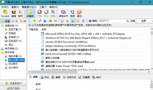 BT下载软件 BitComet(比特彗星) v2.07 解锁全功能豪华版
