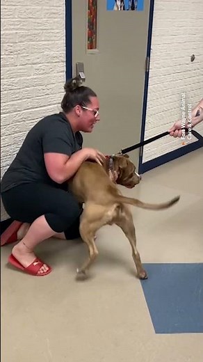 Dog reunites with owner after nearly 2 years apart