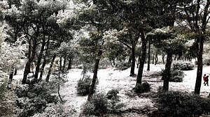 Météo : 3 à 5 cm de neige sur Trets, quelques flocons entre Marseille et la Sainte-Baume