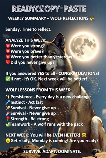 Category: Motivation (Weekly Summary) Type: Text Emojis Photo: Wolf looking at horizon or moon READY TO COPY & PASTE: Plain Text 🐺 WEEKLY SUMMARY - WOLF REFLECTIONS 🐺 Sunday. Time to reflect. ANALYZE THIS WEEK: ✅ Were you strong? ✅ Were you brave? ✅ Were you better than yesterday? ✅ Did you never give up? If you answered YES to all - CONGRATULATIONS! 🔥 If not - it's OK. Next week will be better! WOLF LESSONS FROM THIS WEEK: 🐺 Persistence - Every day is a new challenge 🐺 Instinct - Act fast 