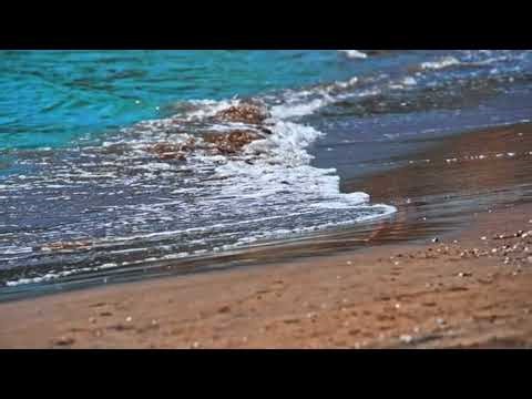 Gentle Ocean Waves on a Tropical Sandy Beach