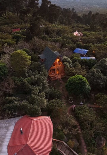 Entre Café Experience: Tu Escapada en El Salvador