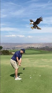 Eagles at Eagle Glen? #golf
