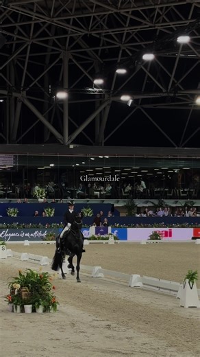 Glamourdale Shines in Dressage Performance