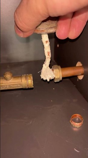 Leaking check valve repair #plumbing #plumbingtime #diyplumbing #plumber